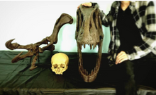 画像をギャラリービューアに読み込む, Allosaurus Arm Cast Replica (Mounted)