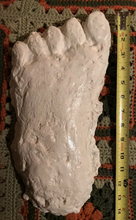 Cargar imagen en el visor de la galería, 2001 Keuterville, Idaho Bigfoot print cast