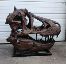 Load image into Gallery viewer, T.rex skull cast replica 1