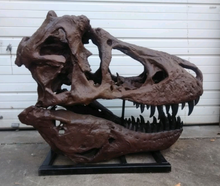 Load image into Gallery viewer, T.rex skull cast replica 1