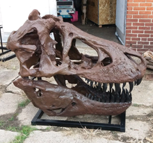 Load image into Gallery viewer, T.rex skull cast replica 1