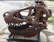 Load image into Gallery viewer, T.rex skull cast replica 1