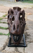Load image into Gallery viewer, T.rex skull cast replica 1