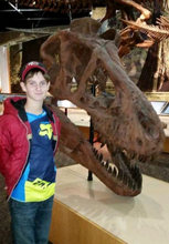 Load image into Gallery viewer, T.rex skull cast replica 1