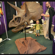 Load image into Gallery viewer, Triceratops skull cast replica reproduction for sale