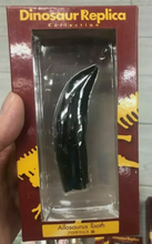 Load image into Gallery viewer, Allosaurus: Japan Allosaurus Dinosaur Fossil Tooth cast replica figure 10cm