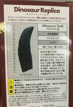 Load image into Gallery viewer, Allosaurus: Japan Allosaurus Dinosaur Fossil Tooth cast replica figure 10cm