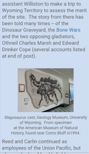 Load image into Gallery viewer, Stegosaurus skeleton dig panel