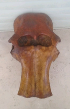 Charger l'image dans la galerie, Mammoth Skull cast replica #1 with tusks Pleistocene. Ice Age