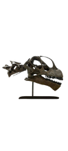 Load image into Gallery viewer, Camarasaurus skull cast replica #1 Camarasaurus grandis skull (GMNH-PV 101)