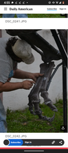 Cargar imagen en el visor de la galería, Tinker the T.rex skeleton cast replica T-rex Tinker Juvenile Trex