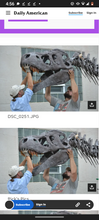 Cargar imagen en el visor de la galería, Tinker the T.rex skeleton cast replica T-rex Tinker Juvenile Trex