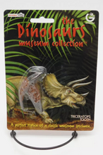 Load image into Gallery viewer, Dinosaur 4 Tooth & Claw Cast Collection Triceratops: Large Triceratops Tooth cast replica with root