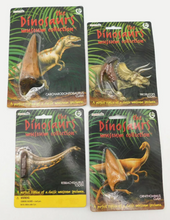 Load image into Gallery viewer, Dinosaur 4 Tooth & Claw Cast Collection Triceratops: Large Triceratops Tooth cast replica with root