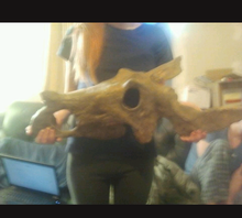 Load image into Gallery viewer, Brachyceratops Fossil Dinosaur skull for sale