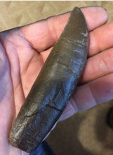 Load image into Gallery viewer, T.rex tooth #5 T-rex 4 3/4" Tyrannosaurus Rex T.rex Fossil Tooth for sale Cast Replica T-rex
