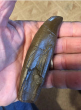 Load image into Gallery viewer, T.rex tooth #5 T-rex 4 3/4" Tyrannosaurus Rex T.rex Fossil Tooth for sale Cast Replica T-rex