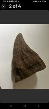 Load image into Gallery viewer, Woolly Rhino horns cast replicas
