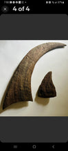 Load image into Gallery viewer, Woolly Rhino horns cast replicas