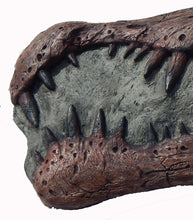 Load image into Gallery viewer, Spinosaurus Skull Plaque cast replica Dinosaur