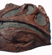 Load image into Gallery viewer, Spinosaurus Skull Plaque cast replica Dinosaur