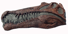 Load image into Gallery viewer, Spinosaurus Skull Plaque cast replica Dinosaur
