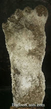 Cargar imagen en el visor de la galería, 2015 Stomping Ground Bigfoot Foot cast