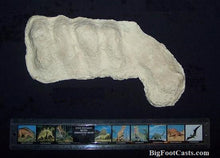 Cargar imagen en el visor de la galería, 1982 Bigfoot / Sasquatch knuckle print cast replica