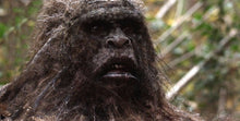 Cargar imagen en el visor de la galería, 2015 Stomping Ground Bigfoot Foot cast
