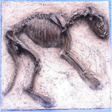 Cargar imagen en el visor de la galería, Dire Wolf Dig Panel Canis Dirus Cast Replica Reproduction