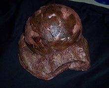 Load image into Gallery viewer, Sauropod Egg V Egg Cast Replica Dinosaur Reproductions