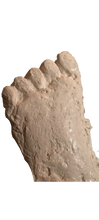 Cargar imagen en el visor de la galería, 2001 Keuterville, Idaho Bigfoot print cast