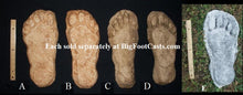 Load image into Gallery viewer, 1982 Grays Harbor Hereford Bigfoot print cast "D"