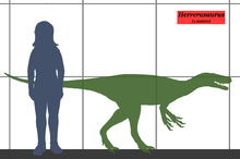 Load image into Gallery viewer, Herrerasaurus skeleton cast replica dinosaur for sale or rent