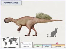 Load image into Gallery viewer, Psittacosaur Dinosaur Replica Dinosaur skeleton panel cast in matrix