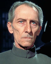 Load image into Gallery viewer, Cushing, Peter Cushing life mask (life cast)