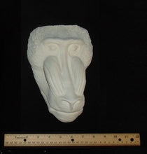 Cargar imagen en el visor de la galería, Baboon: Mandrill Baboon #1 (Male) Death Cast Replica Life cast