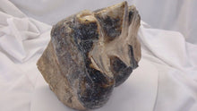 Load image into Gallery viewer, Mastodon tooth cast replica #2 Pleistocene. Ice Age