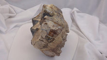 Load image into Gallery viewer, Mastodon tooth cast replica #2 Pleistocene. Ice Age