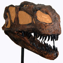 Load image into Gallery viewer, Monolophosaurus dinosaur skull cast replica #2