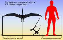 Load image into Gallery viewer, Nyctosaurus sp skeleton dig panel cast (RF032) cast Replica Reproduction
