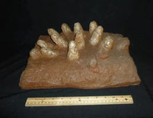 Load image into Gallery viewer, Protoceratops Egg nest Cast Replica Dinosaur Reproductions