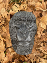 画像をギャラリービューアに読み込む, Gorilla Bust Death Cast Life cast #3  Carl Akeley Gorilla Death Mask