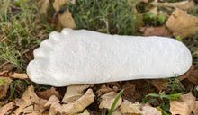 Cargar imagen en el visor de la galería, 1 Bigfoot Patterson "Patty" track footprint cast Plaster Bigfoot Cast Track Replica