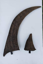 Load image into Gallery viewer, Woolly Rhino horns cast replicas
