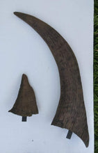Load image into Gallery viewer, Woolly Rhino horns cast replicas