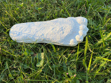 Cargar imagen en el visor de la galería, 1967 Bigfoot Patterson "Patty" track footprint cast