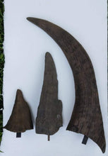Load image into Gallery viewer, Woolly Rhino horns cast replicas