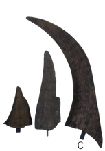 Load image into Gallery viewer, Woolly Rhino horns cast replicas