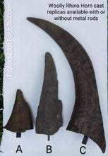 Load image into Gallery viewer, Woolly Rhino horns cast replicas
